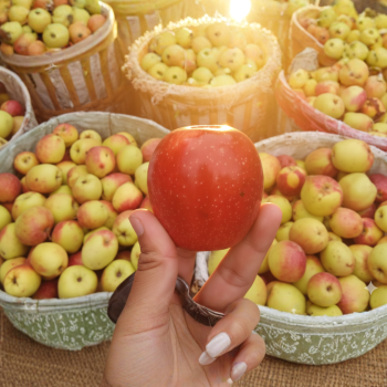 POSTINGAN PRODUK UMUM (21)